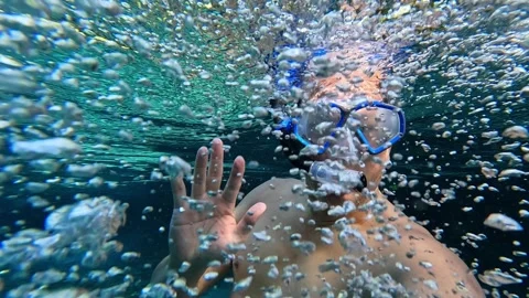 Snorkeling with Bubbles in Florida Stock Footage 318182785