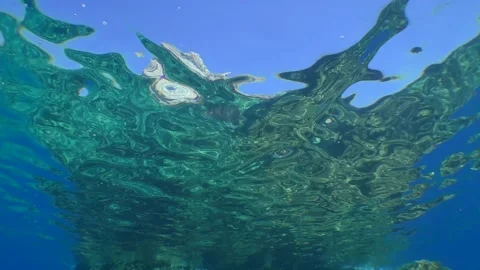 Snorkeling, the camera rises smoothly along a rocky underwater slope and emerges Stock Footage 229404983