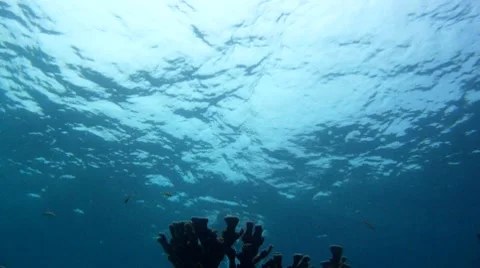 Snorkeling Couple Stock Footage 7903025