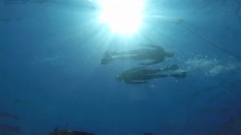 Snorkeling Couple, View from below Stock Footage 73817104
