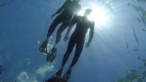 Snorkeling Couple, View from below Stock Footage 73847760