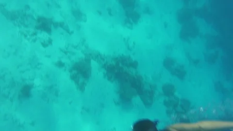 Snorkeling In The Deep Ocean Stock Footage 125814374