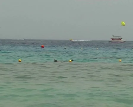 Snorkeling Stock Footage 2646206