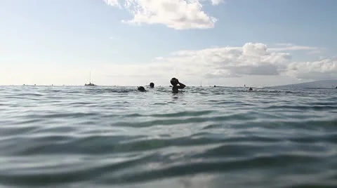 Snorkeling Stock Footage 8997856