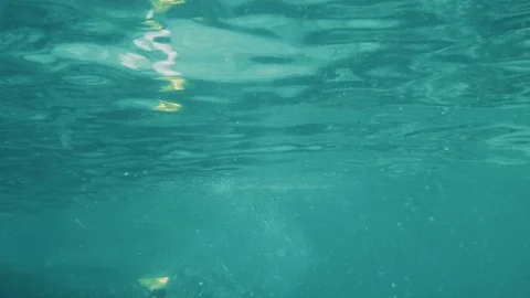 Snorkeling Vídeo Stock 80253810