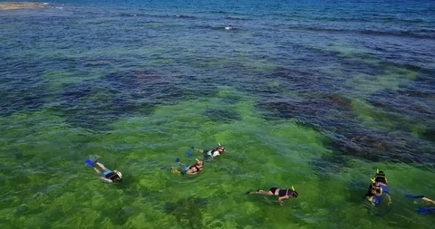 SNORKELING Stock Footage 107276464