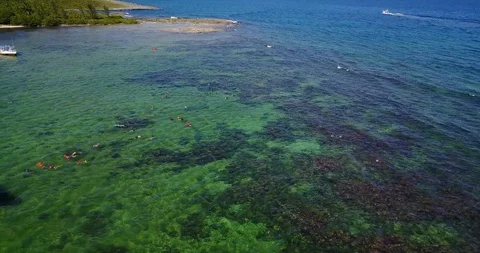 SNORKELING Stock Footage 107276564