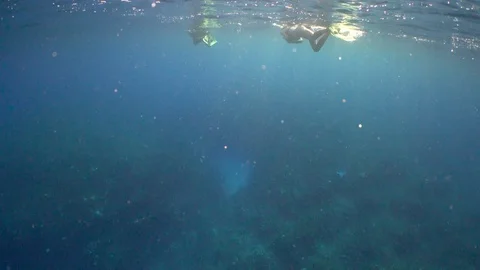 Snorkeling Stock Footage 107642955