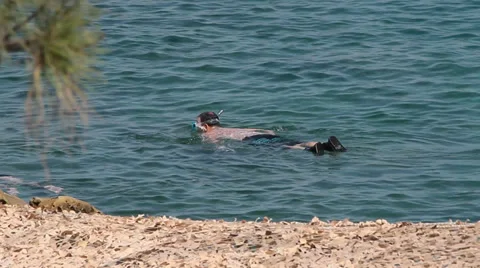 Snorkeling man Video stock 30676669