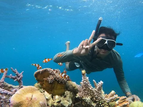 Snorkeling with nemo fish Stock Photos