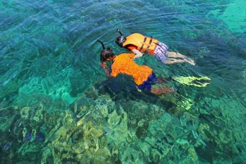 Snorkeling. Stock Photos