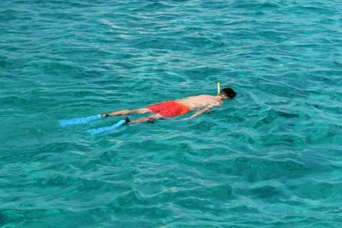 Snorkeling Stock Photos