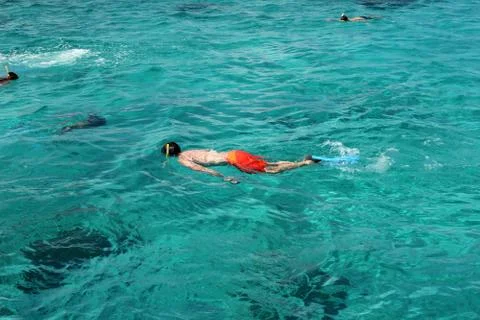 Snorkeling 스톡 사진