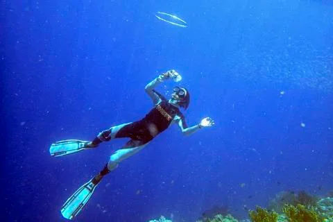 SNORKELING Stock Photos