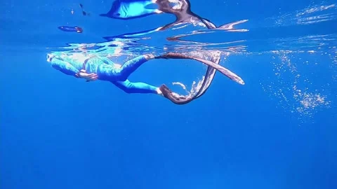 Snorkeling with reflection on surface slowmo Vídeo Stock 247507607