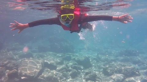 Snorkeling on the Sea Stock Footage 105019080