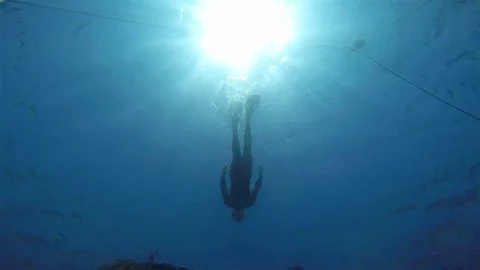 Snorkeling, View from below Stock Footage 73817627