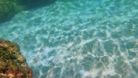 Snorkeling view on the surface look down to the coral reef rock on white sandy b Stock Footage 279143636