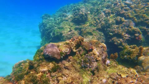 Snorkeling view on the surface look down to the coral reef rock on white sandy b Stock-Footage 279143647