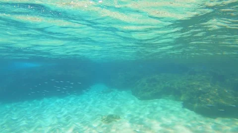 Snorkeling view on the surface look down to the coral reef rock on white sandy b Stock Footage 279143798