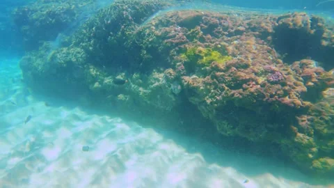 Snorkeling view on the surface look down to the coral reef rock on white sandy b Stock-Footage 279143918