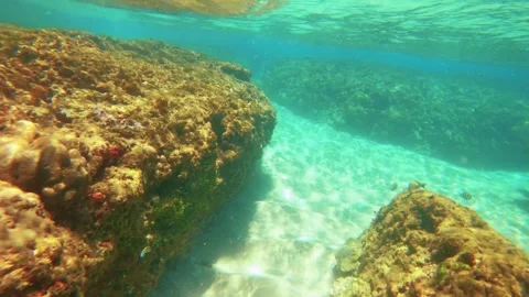 Snorkeling view on the surface look down to the coral reef rock on white sandy b Stock Footage 279144009