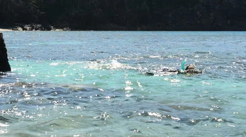 Snorkeller Duckdives - With Audio Video stock 49702090
