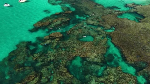 Snorkellers Over The Reef At The Basin, Perth Western Australia Видео 347180974