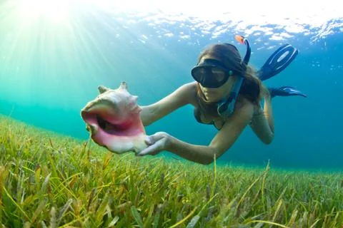 Snorkelling with a conch shell Stock Photos