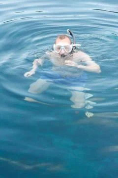 Snorkelling Stock Photos