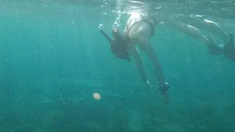 Snorkler 1 Stock Footage 119548688