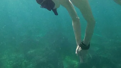 Snorkler 2 스톡 동영상 119549010