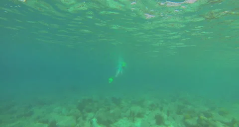 Snorkler bottom and surface from below Stock Footage 42856523