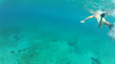 Snorkler sting ray Stock Footage 42693716