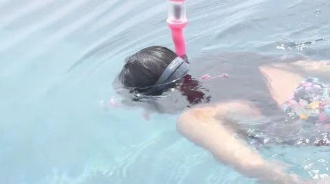 Snorkling Stock Footage 11633628