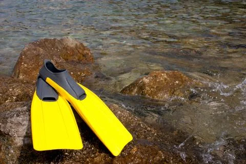 Snorkling  Stock Photos