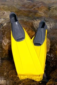 Snorkling  Stock Photos