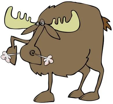 Snorting moose Stock Illustration