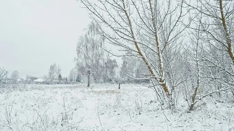 Snovy winter weather Stock Footage 83257407