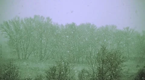 Snow 001 Vídeos de archivo 11017098