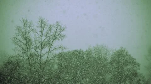 Snow 003 스톡 동영상 11017102