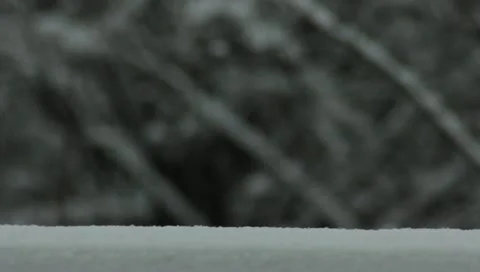 Snow 01 Stock Footage 10843197