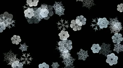Snow 05 Stock Footage 12741454