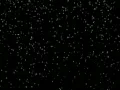 Snow 08 falling Loop Web Footage