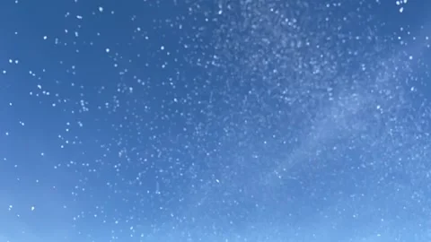 Snow 1 Stock Footage 165563538