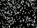 Snow 12 falling Loop Web Footage