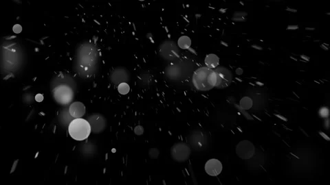 Snow 19 Stock Footage 250919042