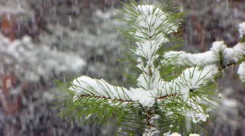 Snow 2 1 Video stock 580178