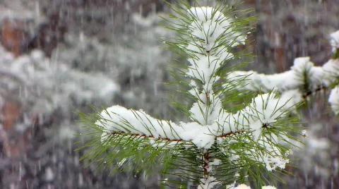 Snow 2  Stock-Footage 580134