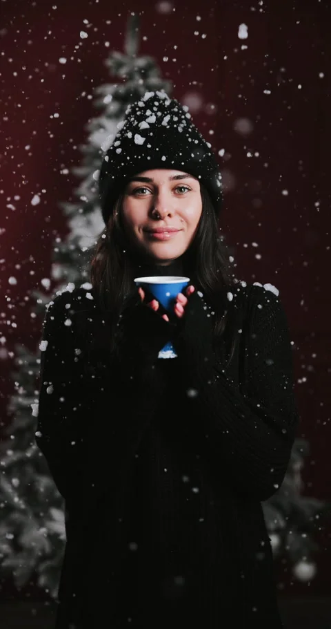 Snow 2 Stock Footage 228731886